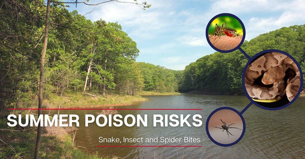 Summer Poison Risks